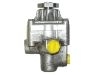Pompe hydraulique, direction Power Steering Pump:60587318